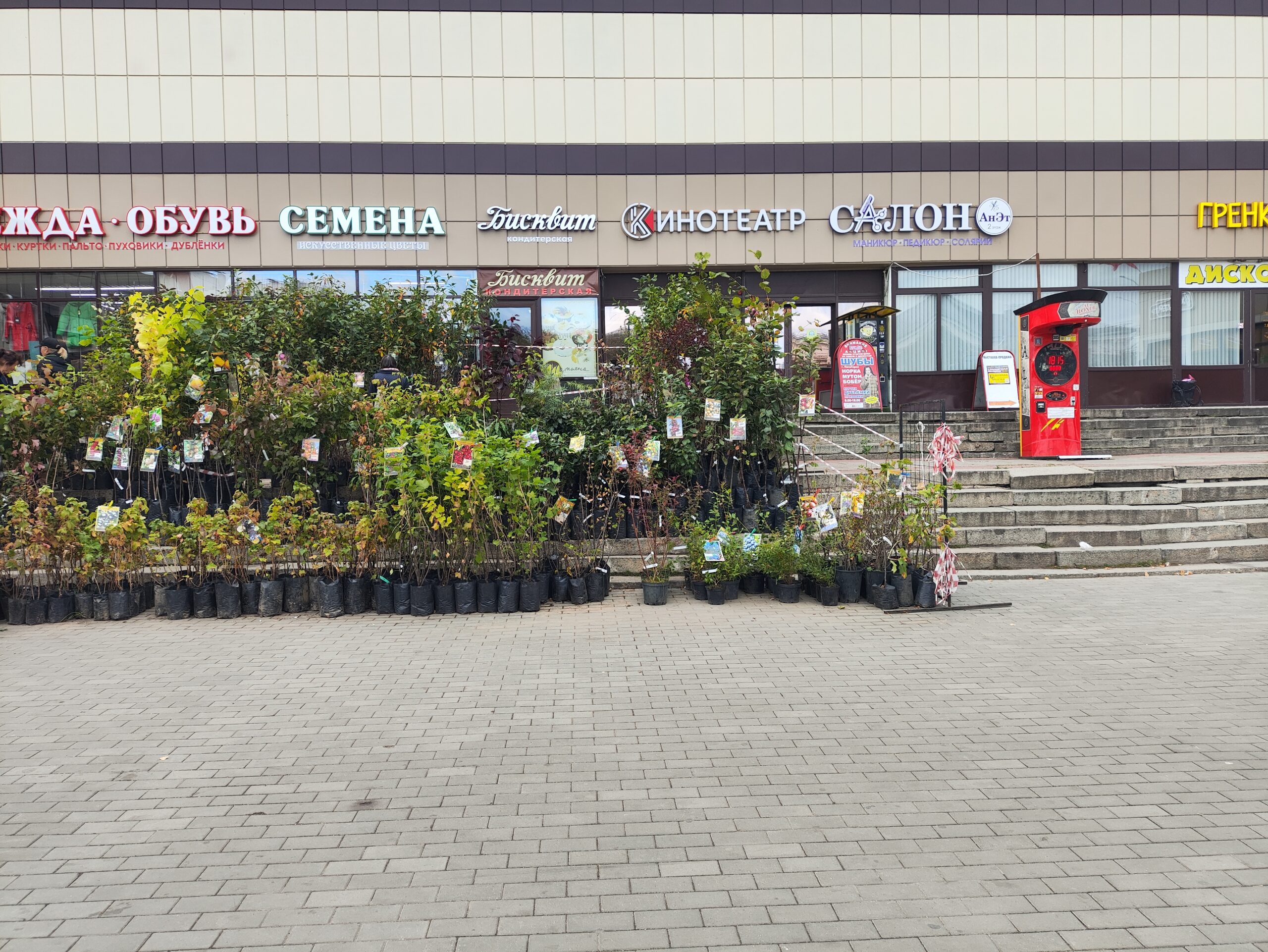 совр выв